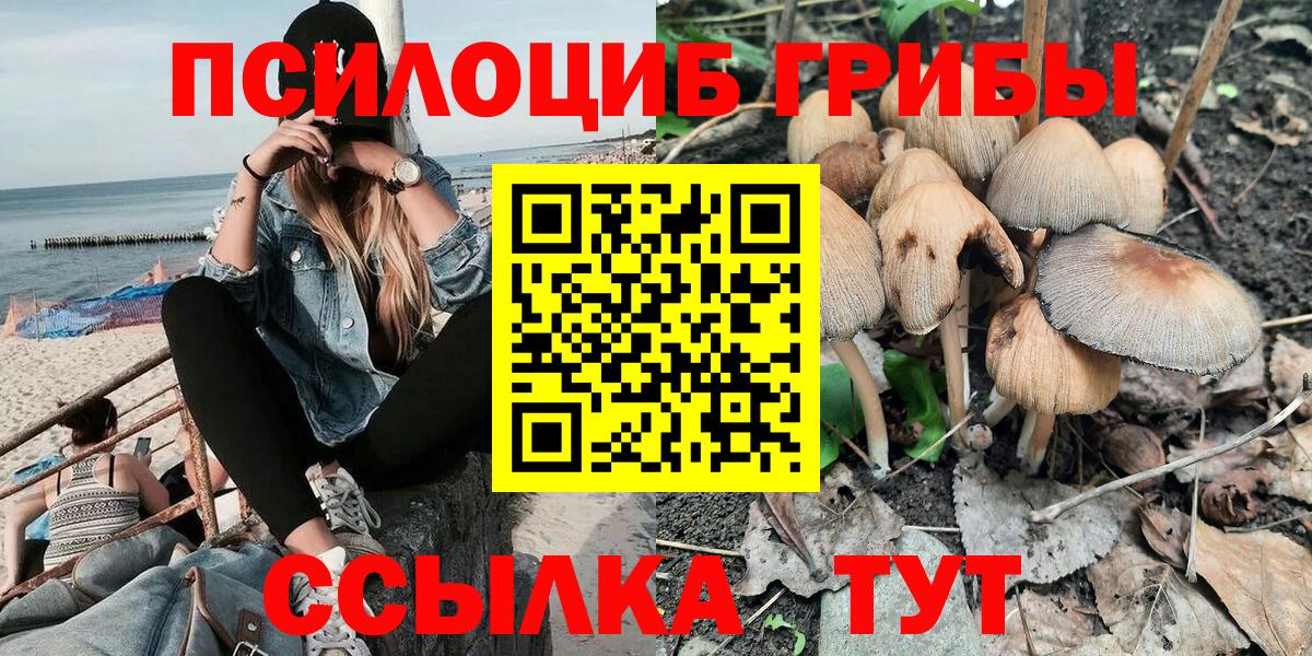 Славгород  Псилоцибиновые грибы Magic Shrooms  Псилоцибиновые грибы MAGIC MUSHROOMS  Вход с VPN 